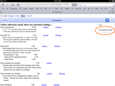 Google Docs on iPad