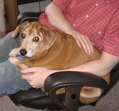 Susie in Jon's lap